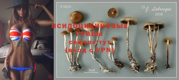 крисы Навашино