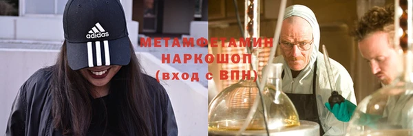 крисы Надым