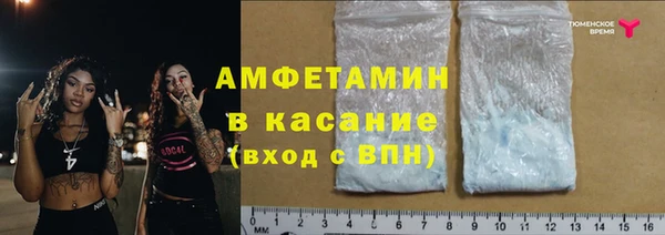 крисы Надым