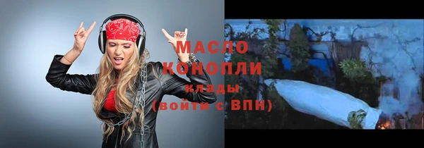 крисы Надым